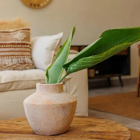 The By Limoneros Villa Teulada